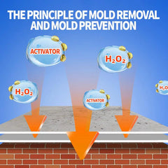 ⏰Highly Effective Mould Removal Spray | 🔥Buy 1 Get 1 Free🔥