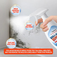⏰Highly Effective Mould Removal Spray | 🔥Buy 1 Get 1 Free🔥
