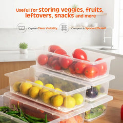 Fridge Storage Containers with Drain Plate