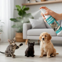 Cat Repellent Spray for Indoor Use