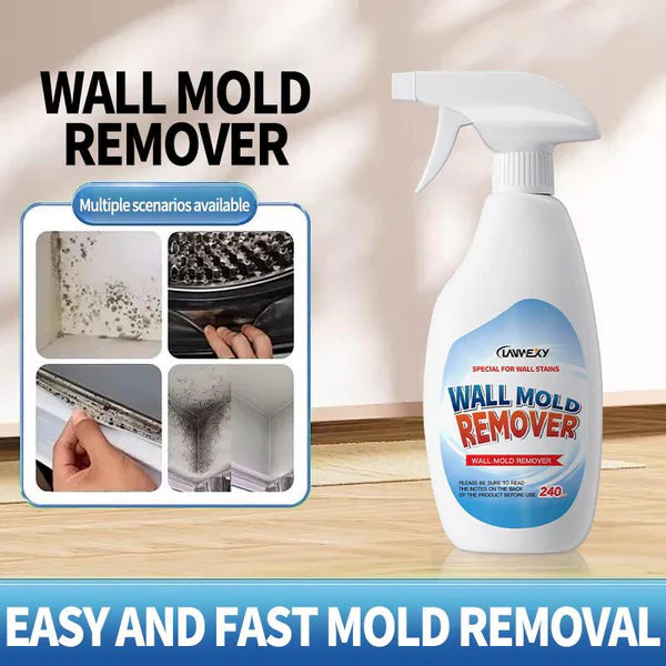 ⏰Highly Effective Mould Removal Spray | 🔥Buy 1 Get 1 Free🔥