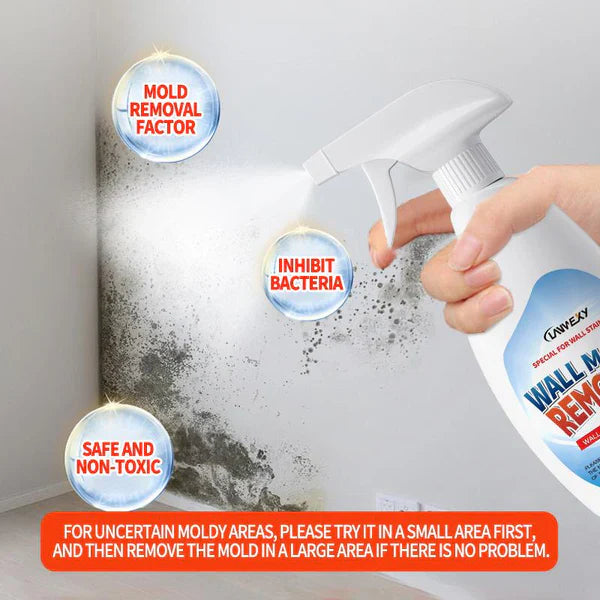⏰Highly Effective Mould Removal Spray | 🔥Buy 1 Get 1 Free🔥